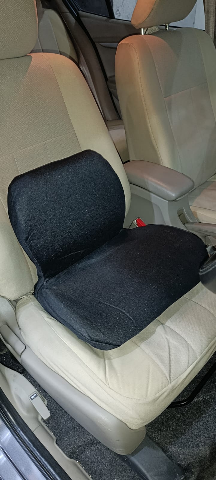 Double Seat Cushion